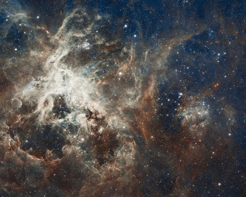 Interstellar Tourism